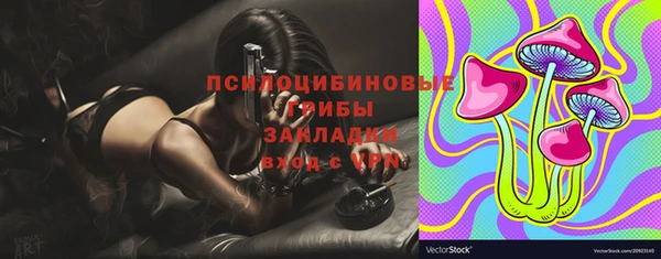 гашик Баксан