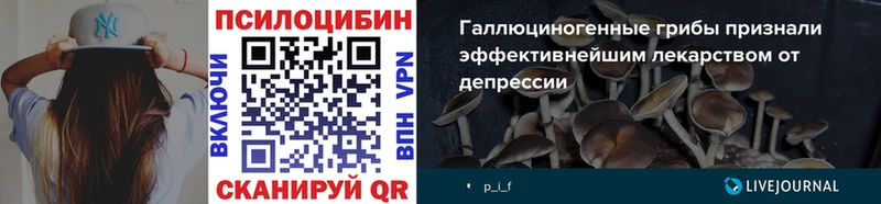 где купить наркоту  Петров Вал  Псилоцибиновые грибы Magic Shrooms 